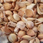 Sarımsak Tohumu